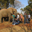 International Student Volunteers (ISV): South Africa - Volunteering in South Africa Photo