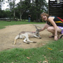 GlobaLinks Learning Abroad: Brisbane - University of Queensland Photo