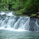 CIEE: Monteverde - Summer Tropical Ecology and Conservation Photo