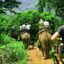 Study Abroad Reviews for API (Academic Programs International): Volunteer Abroad Programs in Thailand