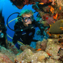 Study Abroad Reviews for Broadreach: Program at Sea - Caribbean Marine Biology 12-Day Adventure