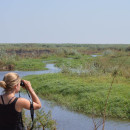 Round River Conservation Studies - Botswana Program Photo