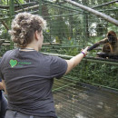Study Abroad Reviews for Greenheart Travel: Costa Rica - Animal Rescue Center in Costa Rica for Teens