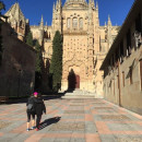 University of Salamanca: Salamanca - Direct Enrollment & Exchange Photo