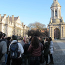 Study Abroad Reviews for University of Minnesota: Business in Dublin