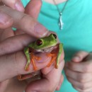 Study Abroad Reviews for A-State Faculty-Led: Biological Sciences - Biology Program in Costa Rica