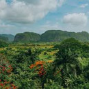 Study Abroad Reviews for KIIS: Cuba