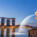 Study Abroad Reviews for Asia Internship Program: Intern in Singapore