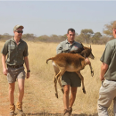 Study Abroad Reviews for Game Ways: Limpopo - Game Ranch Management Academy in South Africa