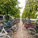 Study Abroad Reviews for CIEE: Copenhagen - Open Campus Block
