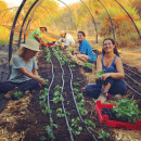 Kibbutz Lotan Center for Ecology: The Green Apprenticeship Photo