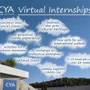 Study Abroad Reviews for CYA (College Year in Athens): Virtual Internships
