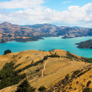 Study Abroad Reviews for Pacific Discovery: New Zealand & Fiji Summer Program | 6 week