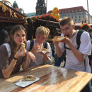 Study Abroad Reviews for IES Abroad: Berlin - Language & Area Studies