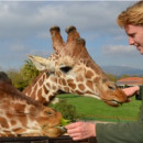 Study Abroad Reviews for Cerca Abroad: Greece - Zoology & Wildlife Internships in Greece