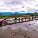Study Abroad Reviews for University of Minnesota: MSID - Entrepreneurship in Thailand