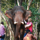 Study Abroad Reviews for University of Minnesota: MSID - Sustainability in Thailand