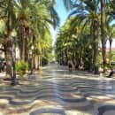 Study Abroad Reviews for CIEE: Alicante - Liberal Arts