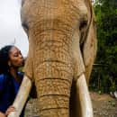 Study Abroad Reviews for CIEE: Cape Town - Arts and Sciences