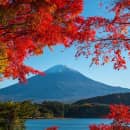 Study Abroad Reviews for CIEE: Tokyo - Arts and Sciences