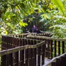 Study Abroad Reviews for CIEE: Monteverde - Semester Global Internship