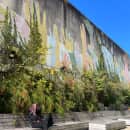 Middlebury Schools Abroad: Middlebury in Montevideo Photo
