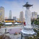 Study Abroad Reviews for CIEE: College First Year Abroad in Seoul