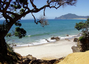Study Abroad Reviews for CISabroad (Center for International Studies): Intern in New Zealand
