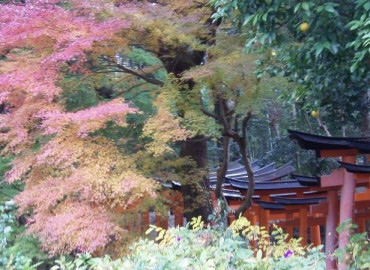 Study Abroad Reviews for ISEP Exchange: Hirakata - Exchange Program at Kansai Gaidai University