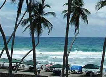 Study Abroad Reviews for Spanish Abroad, Inc: Spanish Schools in Venezuela