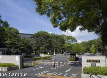 Study Abroad Reviews for Chiba University: Chiba - Direct Enrollment & Exchange