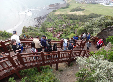 Study Abroad Reviews for WorldStrides Study Abroad in Seoul, South Korea - Veritas Christian Study Abroad