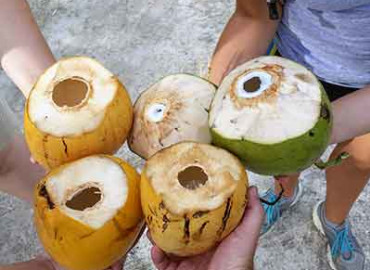 Study Abroad Reviews for CCSA (Cooperative Center for Study Abroad): Belize - Anthropology Field School
