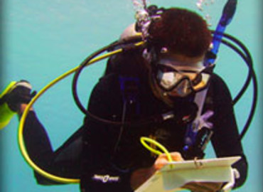 Study Abroad Reviews for CIEE: Kralendijk - Summer Tropical Marine Ecology & Conservation