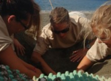 Study Abroad Reviews for GVI: Giannitsochori - Volunteer Programs in Greece