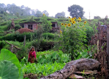 Study Abroad Reviews for SIT Study Abroad: India - Traditional Medicine and Healthcare Practices