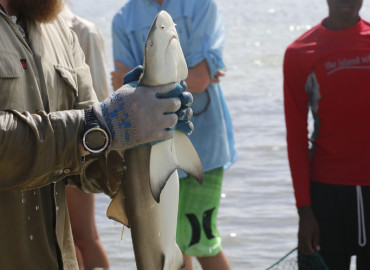 Study Abroad Reviews for The Island School: The Bahamas - Summer Semester