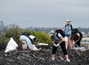 Study Abroad Reviews for International Volunteer HQ (IVHQ): Volunteer in New Zealand