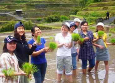 Study Abroad Reviews for Kyushu University: Fukuoka - Direct Enrollment & Exchange