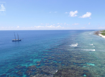 Study Abroad Reviews for Sea Education Association: Programs at Sea – Protecting the Phoenix Islands ( Summer )