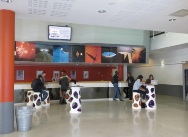 Study Abroad Reviews for University of Minnesota: Montpellier - Business in France