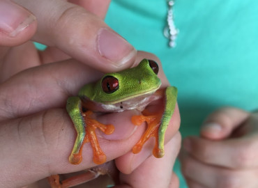 Study Abroad Reviews for A-State Faculty-Led: Biological Sciences - Biology Program in Costa Rica