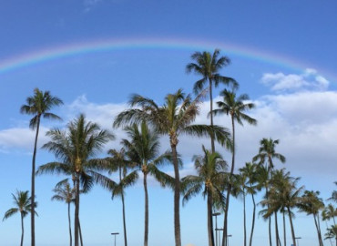 Study Abroad Reviews for The GREEN Program: Hawai'i - Sustainable Community Food & Energy Systems