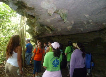 Study Abroad Reviews for Georgia College and State University: San Salvador - Community Ecology
