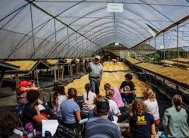 Study Abroad Reviews for Institute for Central American Development Studies (ICADS): San José - Language and Society Immersion Program