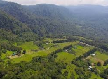 Study Abroad Reviews for University of Georgia: San Jose - UGA in Costa Rica