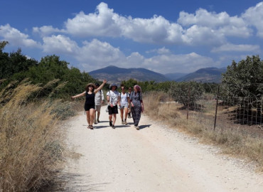 Study Abroad Reviews for Livnot U’Lehibanot: Israel Programs in Tzfat