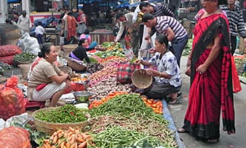 SIT Study Abroad: IHP Food Systems - Agriculture, Sustainability, and Justice