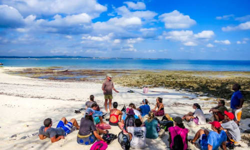SIT Study Abroad: Tanzania - Zanzibar Coastal Ecology and Natural Resource Management