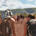 Photo of CIEE: Perth - Biology + Ecology Field Studies